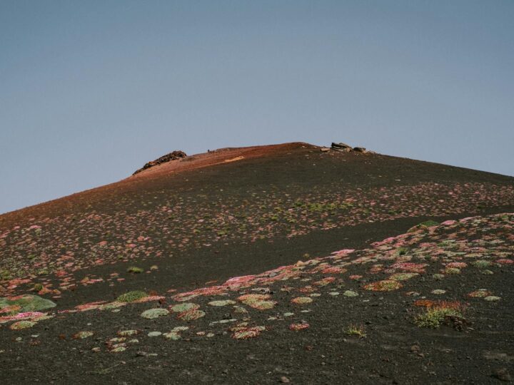 Parco Avventura Etna