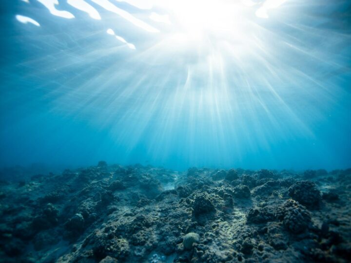 Paradiso Acquatico
