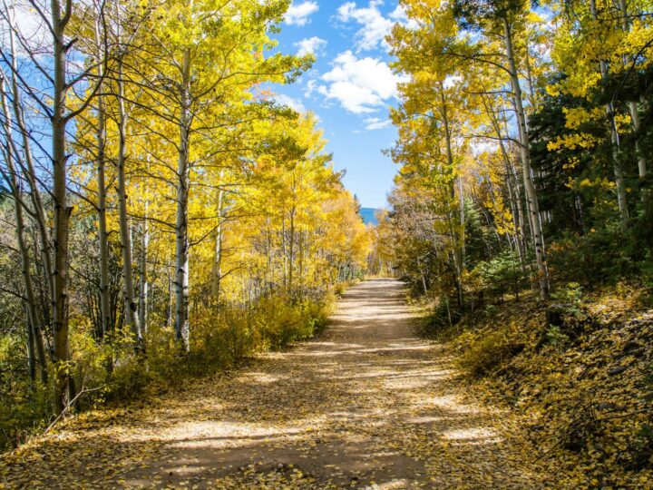 Parque Natural de Brixworth