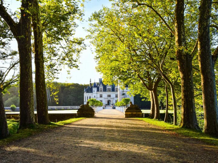 Schlosspark