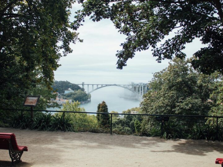 Parc urbain Rotehorn