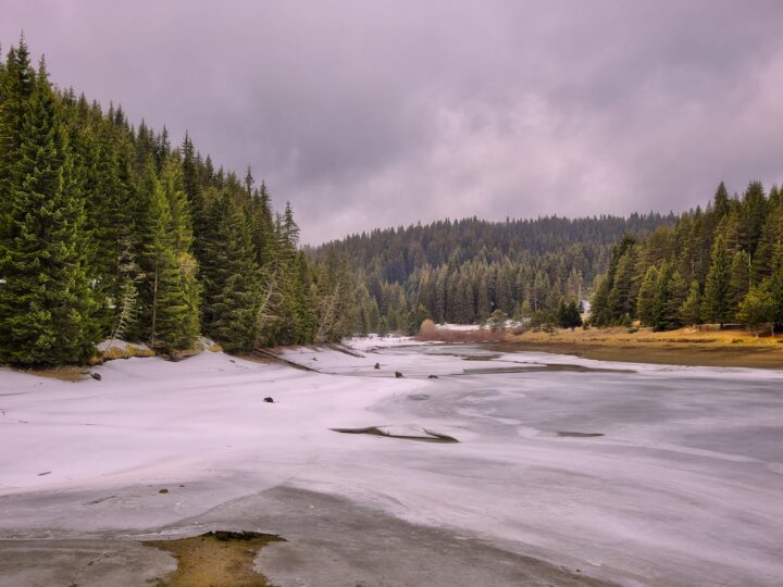 Великий Лсовий Парк