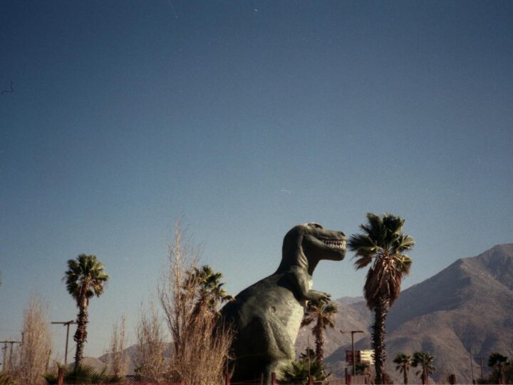 Parque de Dinosaurios y Granja de Gulliver