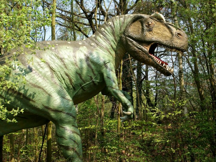 Parque de Dinosaurios y Granja de Gulliver