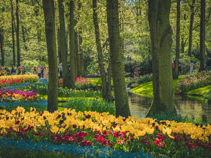 Arboreto del Parco Hatanp