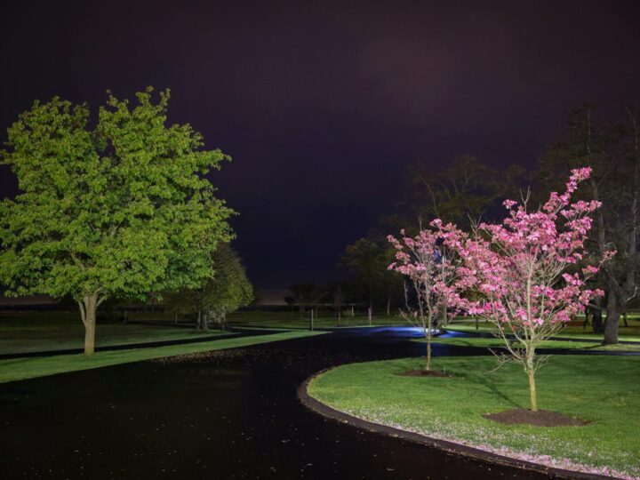 Arboreto del Parco Hatanp