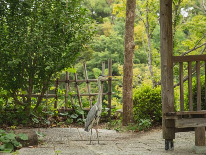 Parco del Hron