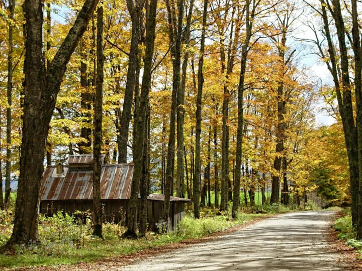 Parque rural de Irchester