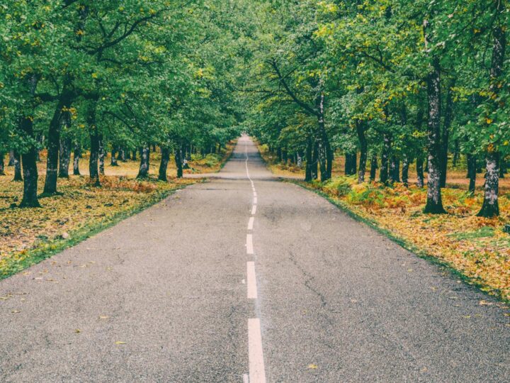 Parque rural de Irchester