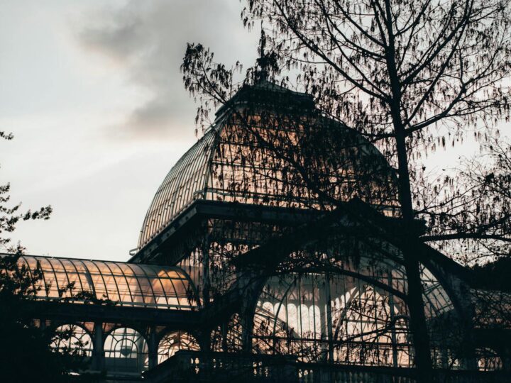 Palacio Jakab