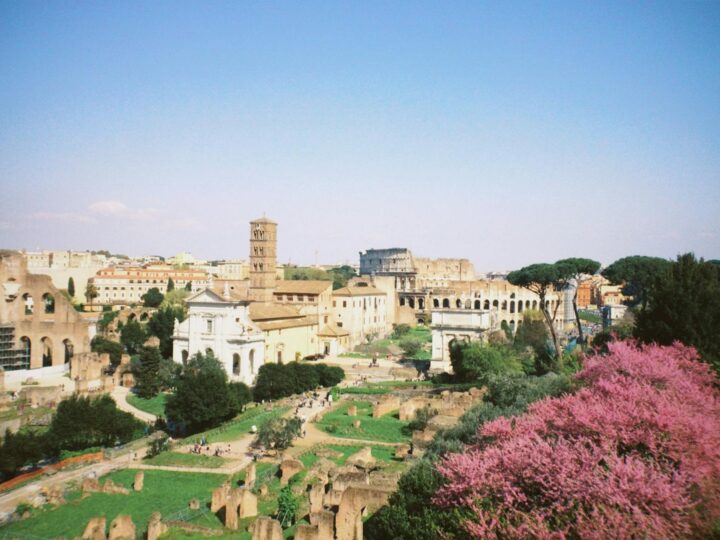Molinete Roman Forum Museum