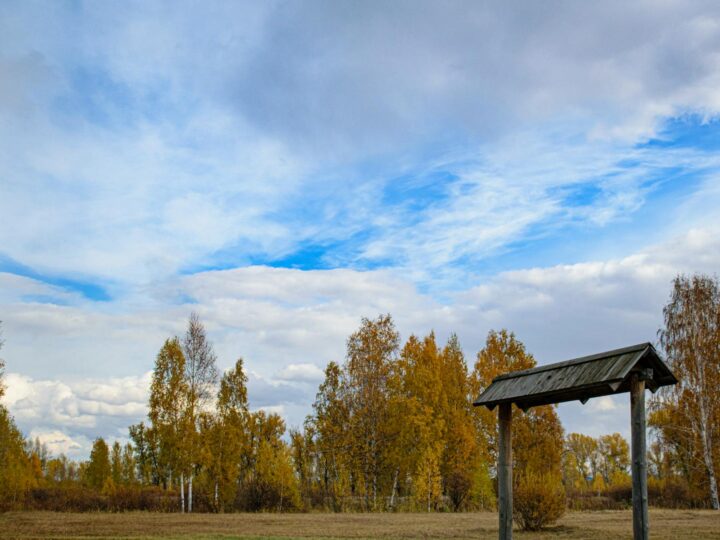 Parque rural de Moses Gate