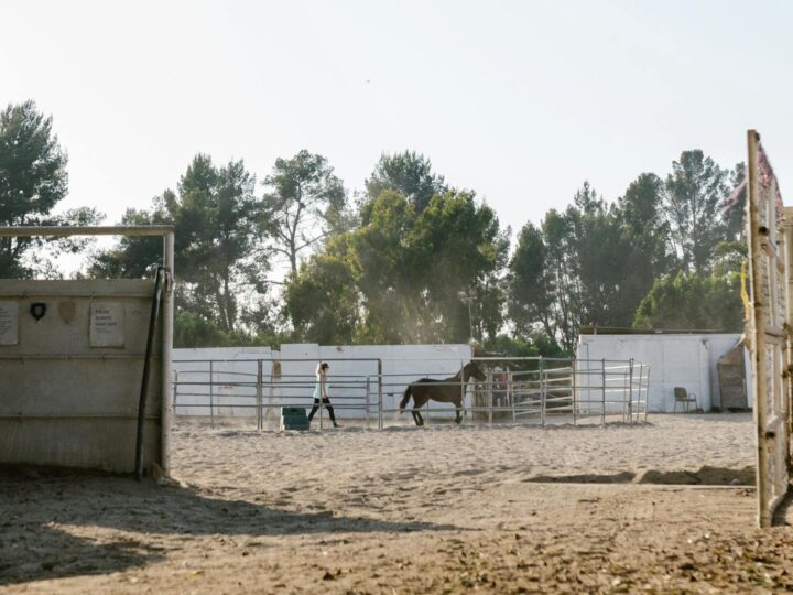 Parque rural de Moses Gate