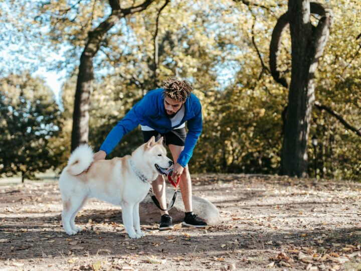 Parco Comunale di Ploieti Ovest