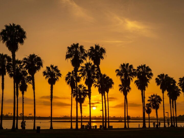 Parco di San Diego