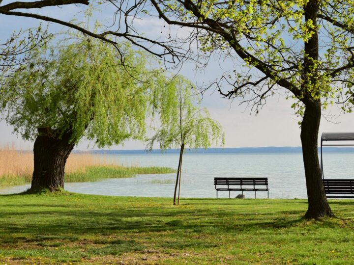 Ravensberger Park