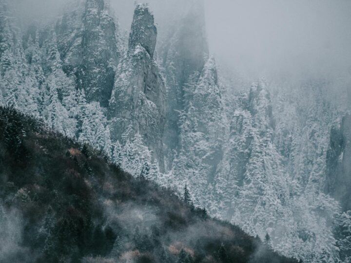 Reading Winter Wonderland