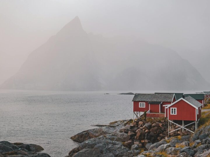 Reine Astrid