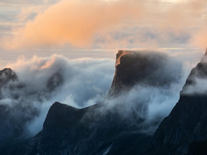 Reine Astrid