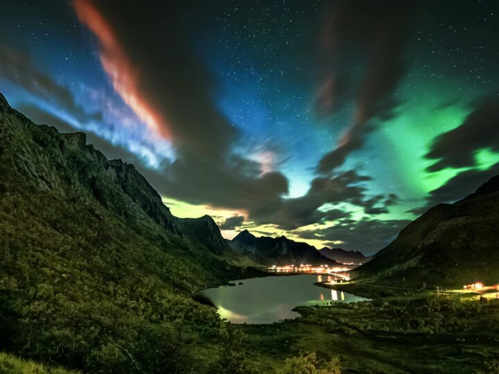 Reine Astrid