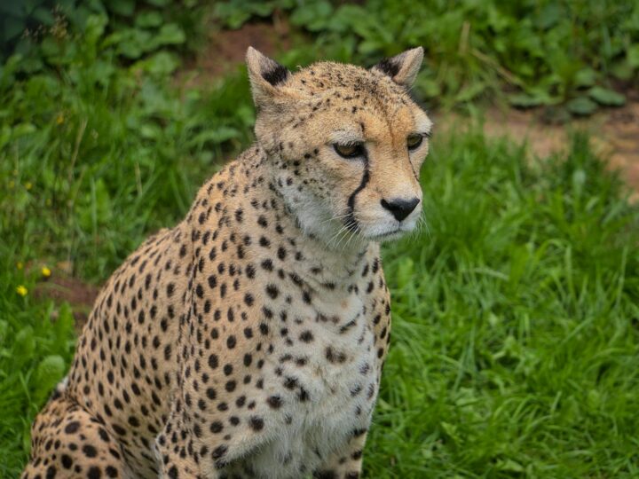 Rostock Zoo