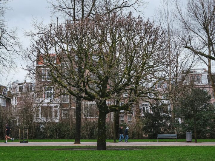 Ruhr Park