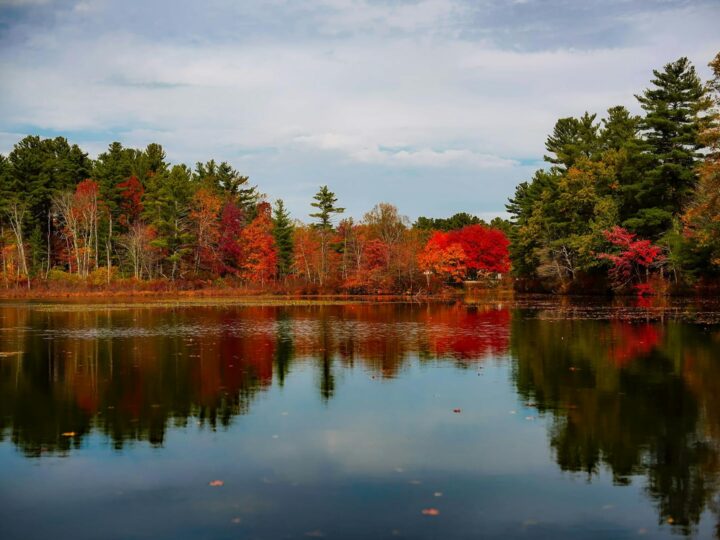Parque Country de Stanwick Lakes