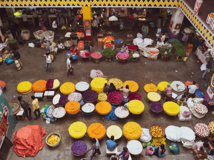 Museo Streetlife