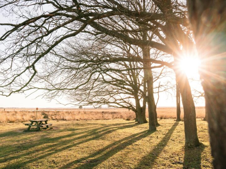 Sywell Country Park