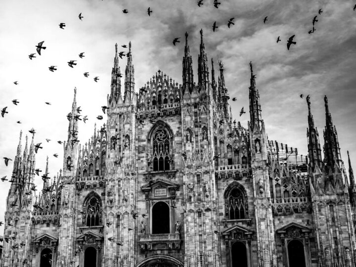 Il delfinario di Constana
