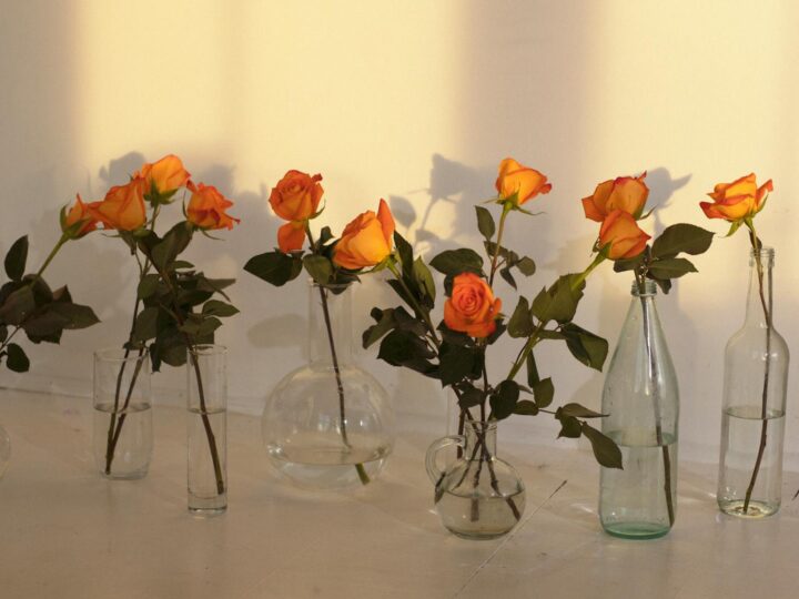 El Jardn de Rosas