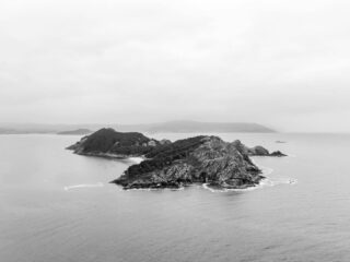 Vigo