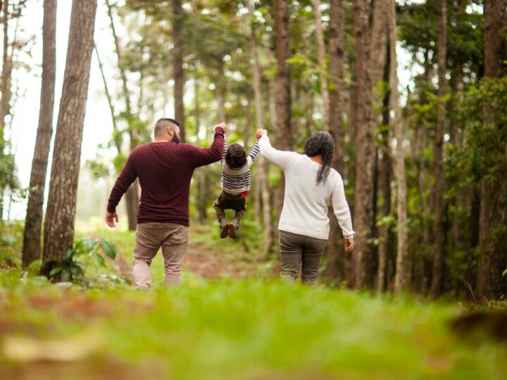 Parco a tema familiare Woodlands