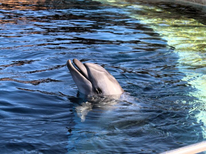 Zoo Magdeburg