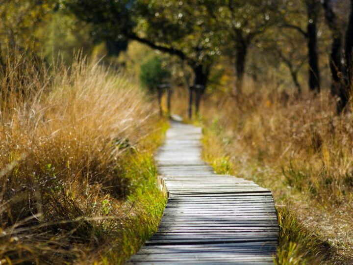 Parque de Aventuras Cimone