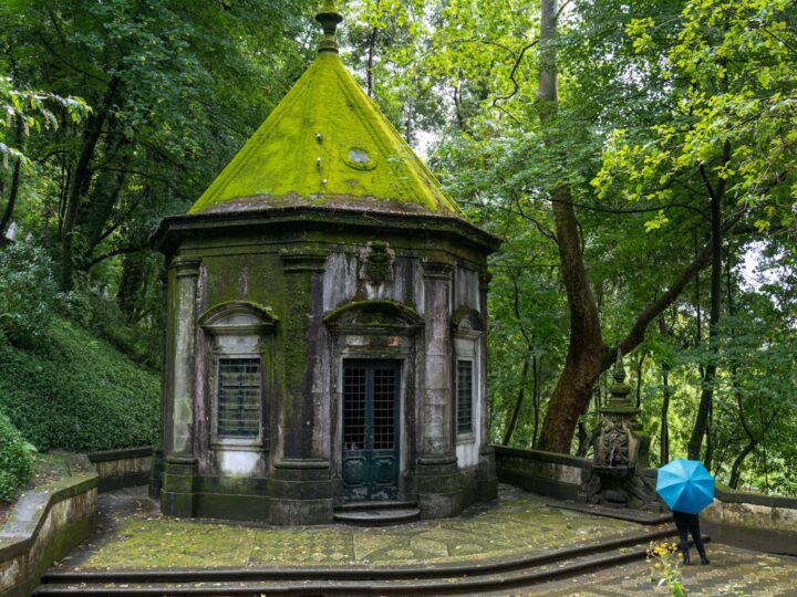 Chapelfield Gardens