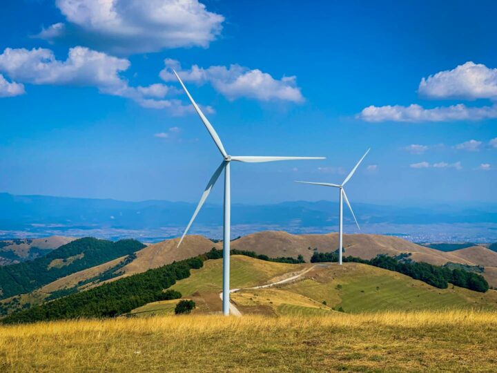 Comb of the Wind