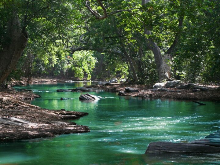 Parco naturale di Danamandira
