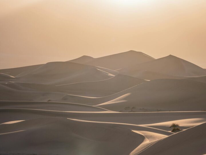 Parque de las Dunas