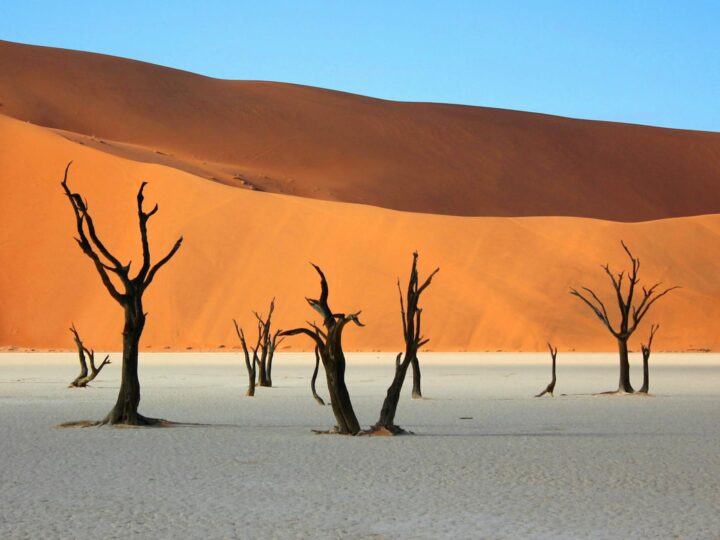 Parque de las Dunas