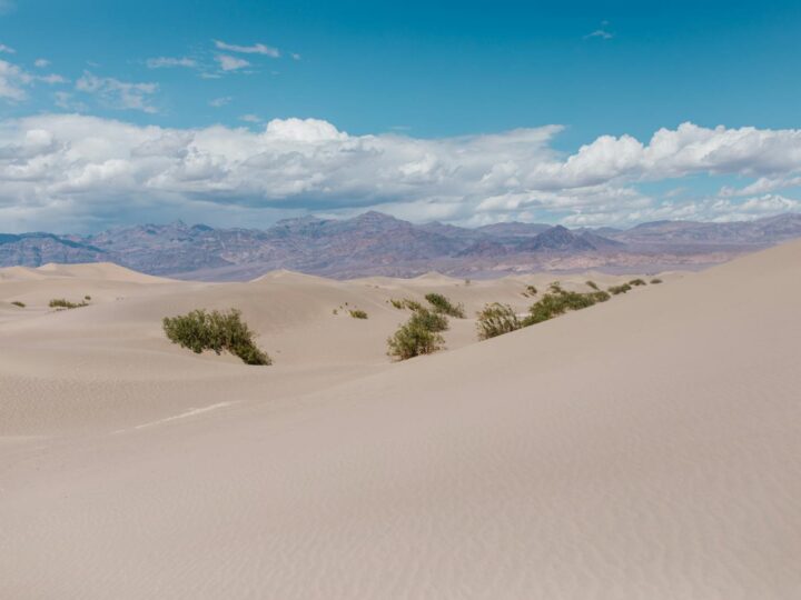 Parque de las Dunas