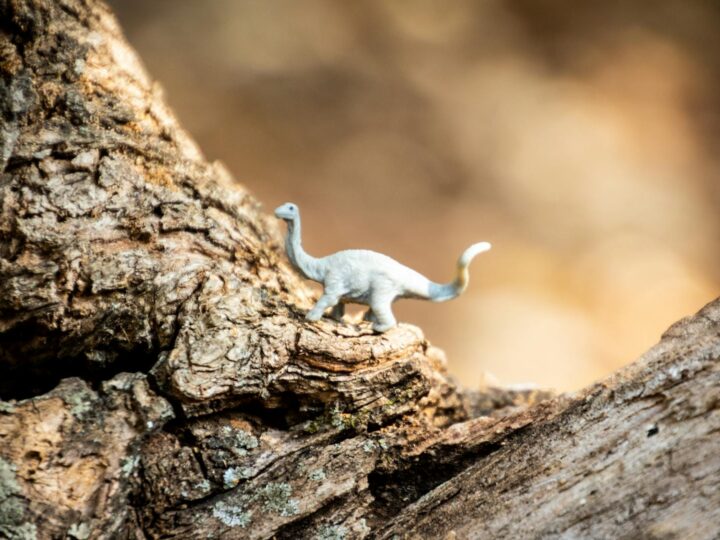 Parque de Dinossauros e Fazenda de Gulliver