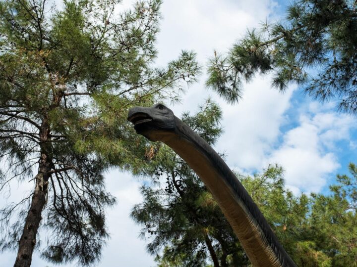 Parque de Dinossauros e Fazenda de Gulliver