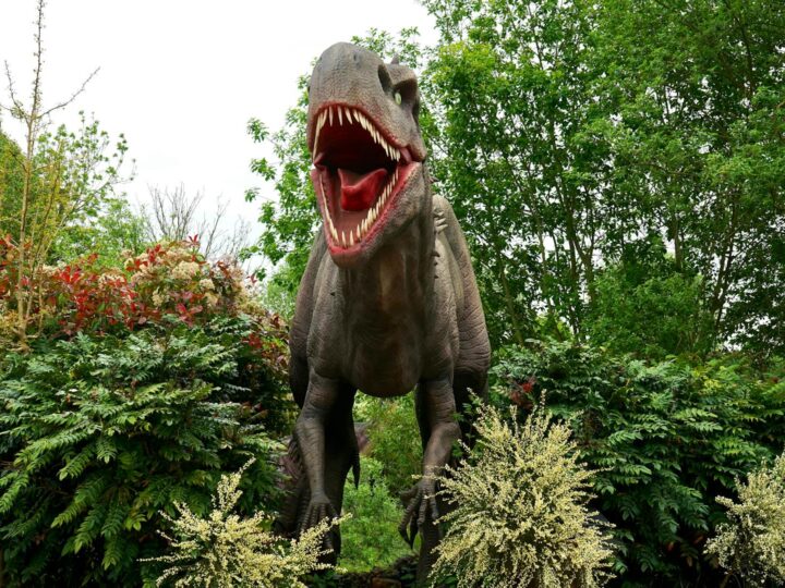 Parque de Dinossauros e Fazenda de Gulliver