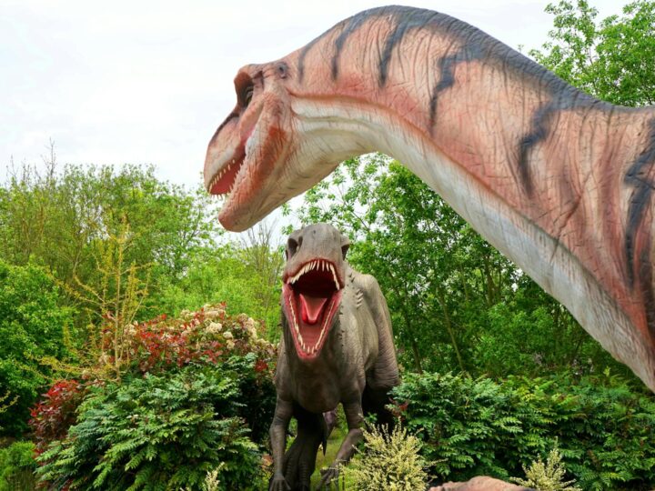 Parque de Dinossauros e Fazenda de Gulliver