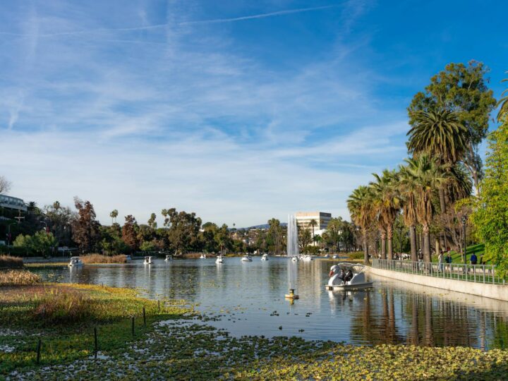 Parque de La Rivota