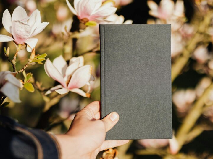 Park Magnolii