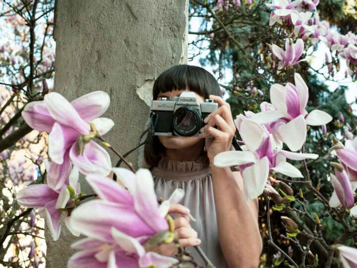 Park Magnolii