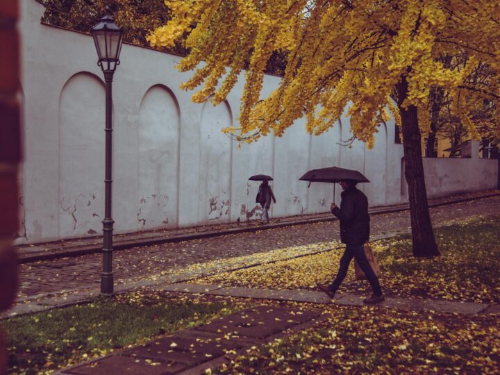 Roker Park