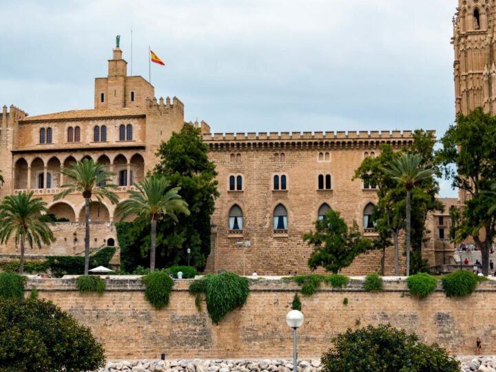 La Serra Municipale delle Palme